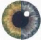EyeDic