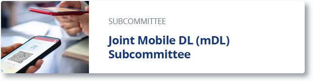Digital Identity Subcommittee